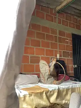 wild best online show from 02.27.26