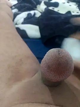 Snapshot of Ayoub_ben27 chatting on 11.08.25 Ayoub ben27 online show from 11.08.25