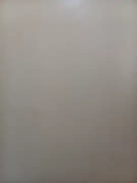 Snapshot of NellaGrey chatting on 11.04.25 NellaGrey online show from 11.04.25