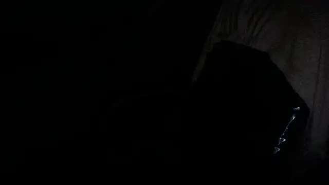 gygyfox online show from 11.21.25