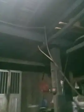 Snapshot of matbiec- chatting on 11.19.25 matbiec- online show from 11.19.25