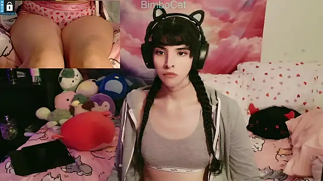 BimboCat online show from 10.31.25