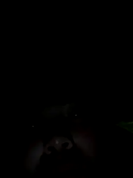 Snapshot of Nul-chal chatting on 01.05.26 Nul-chal online show from 01.05.26