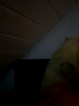 superbertok online show from 11.20.25