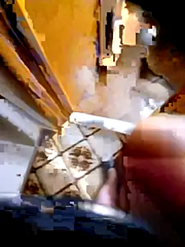 pino870 online show from 02.03.26