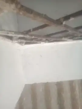 Pallu Asha online show from 04.28.26