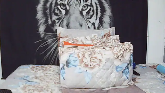 Snapshot of MassiveBoobsxxxx chatting on 02.04.26 MassiveBoobsxxxx online show from 02.04.26