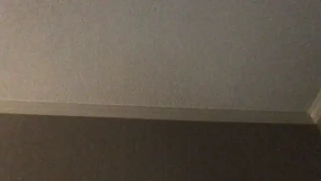 RyanSteeleXXX online show from 12.02.25