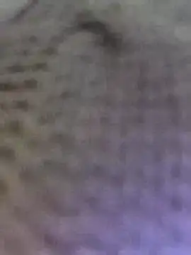 Snapshot of Hot-Sana2 chatting on 02.23.26 Hot-Sana2 online show from 02.23.26