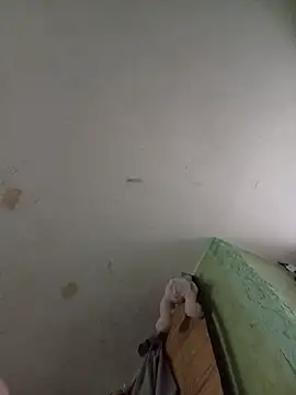 Snapshot of Misiek11123 chatting on 11.02.25 Misiek11123 online show from 11.02.25