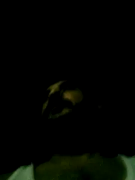 Yerackhip online show from 03.24.26