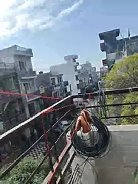 sexychd online show from 12.15.25