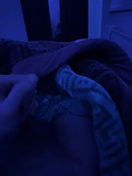 jafop098864 online show from 03.02.26