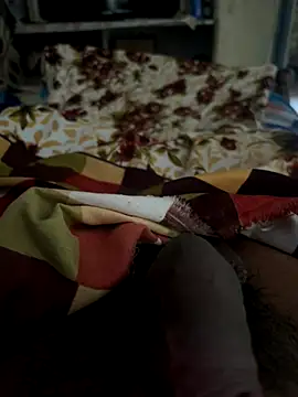 playboyoftelugu online show from 11.08.25