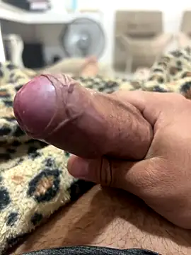 Lp201  online show from 11.14.25