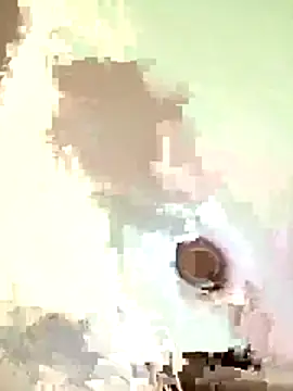 Snapshot of Bricksdakid050 chatting on 11.04.25 Bricksdakid050 online show from 11.04.25