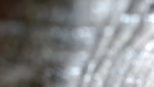 the breasts of desir  online show from 11.24.25