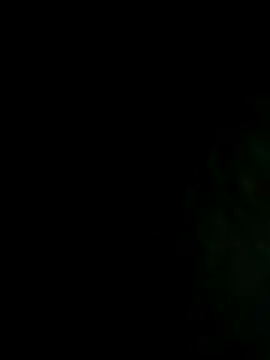 NIGHTFOX-89 online show from 11.08.25