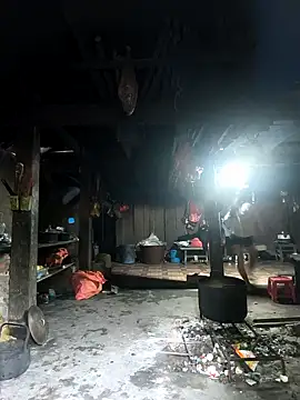 Lynly k2 online show from 11.17.25