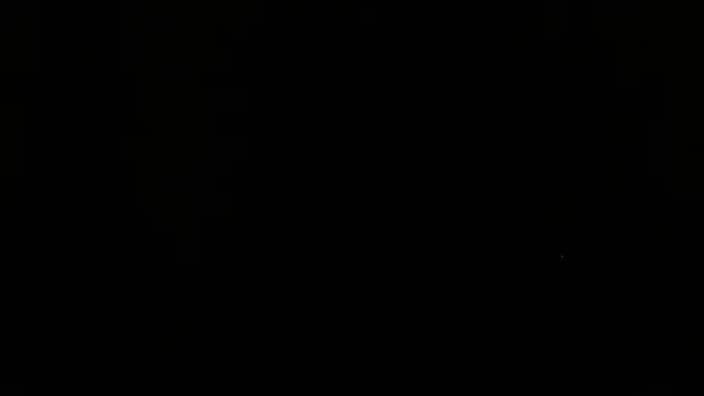 shark boy28 online show from 11.20.25