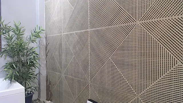 Noah dupont  online show from 11.20.25