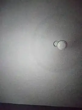 Snapshot of Keya-009 chatting on 02.24.26 Keya-009 online show from 02.24.26