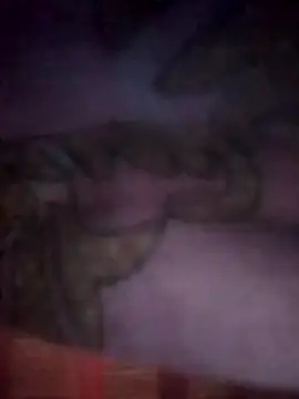 jacka 305 online show from 11.26.25