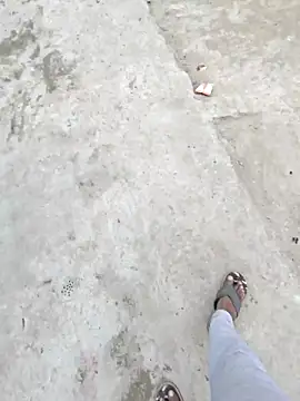 Snapshot of Pagalladka-89 chatting on 12.01.25 Pagalladka-89 online show from 12.01.25