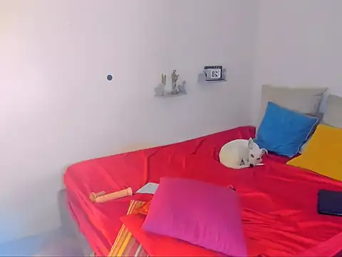 Snapshot of hotcassy chatting on 02.25.26 hotcassy online show from 02.25.26