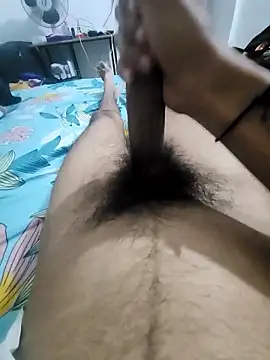 Noxvorlen online show from 11.14.25