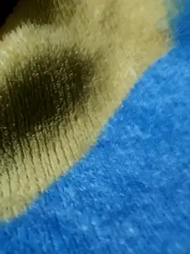 GG23MVP online show from 11.30.25