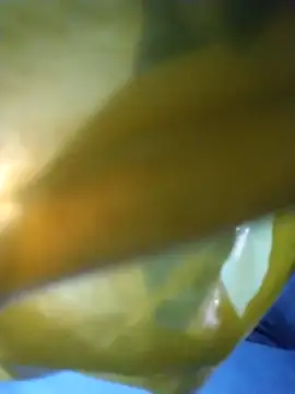 chim-yen online show from 11.19.25