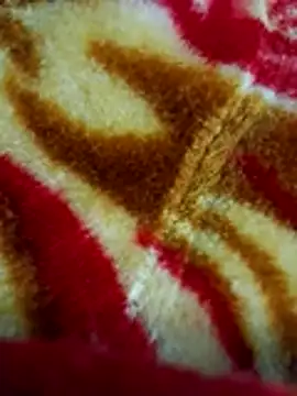 sangeeta lodhi online show from 11.28.25