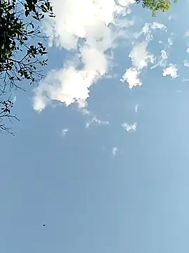 Snapshot of joselo2217 chatting on 11.25.25 joselo2217 online show from 11.25.25