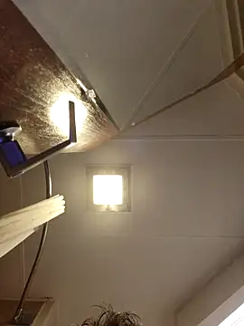 Snapshot of Mikey40wv chatting on 02.19.26 Mikey40wv online show from 02.19.26