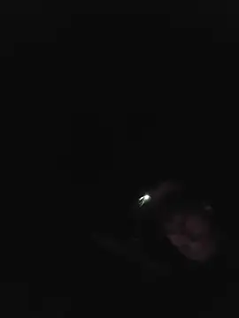 Redheadstud online show from 07.02.26
