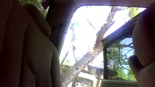 dickencidr online show from 04.15.26