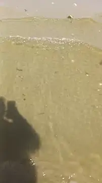 Lukemo online show from 04.13.26