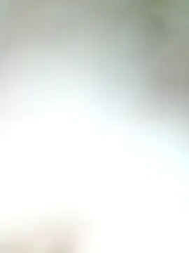 Pxrani online show from 11.17.25