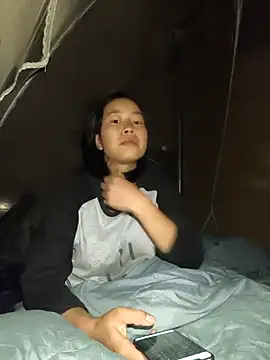 Cat-meow online show from 11.20.25