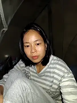 Cat-meow online show from 11.24.25