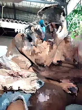 chathu danu online show from 12.01.25