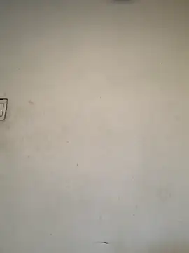 Dannii- online show from 02.28.26