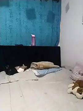 Snapshot of Emmyxxx chatting on 11.27.25 Emmyxxx online show from 11.27.25