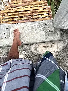 tamilbbc1 online show from 11.28.25