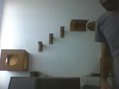 Temp7 online show from 03.07.26