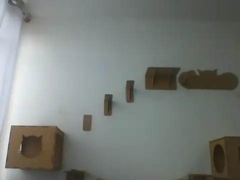 Temp7 online show from 03.08.26