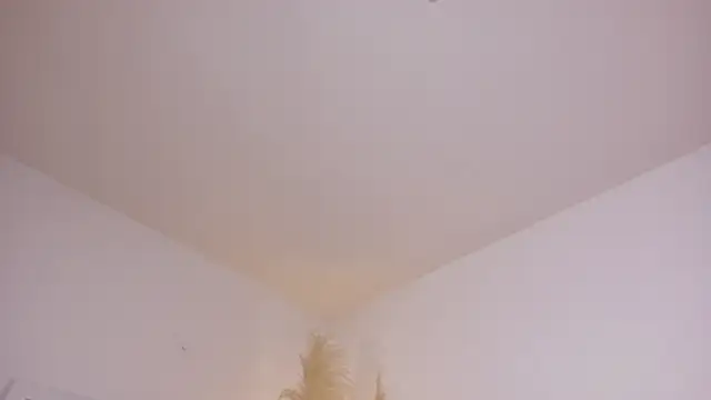 am berr online show from 12.13.25