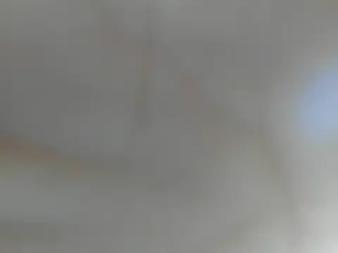 Snapshot of Kenai_Lavis chatting on 12.17.25 Kenai Lavis online show from 12.17.25