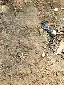 Meow buggie online show from 01.13.26